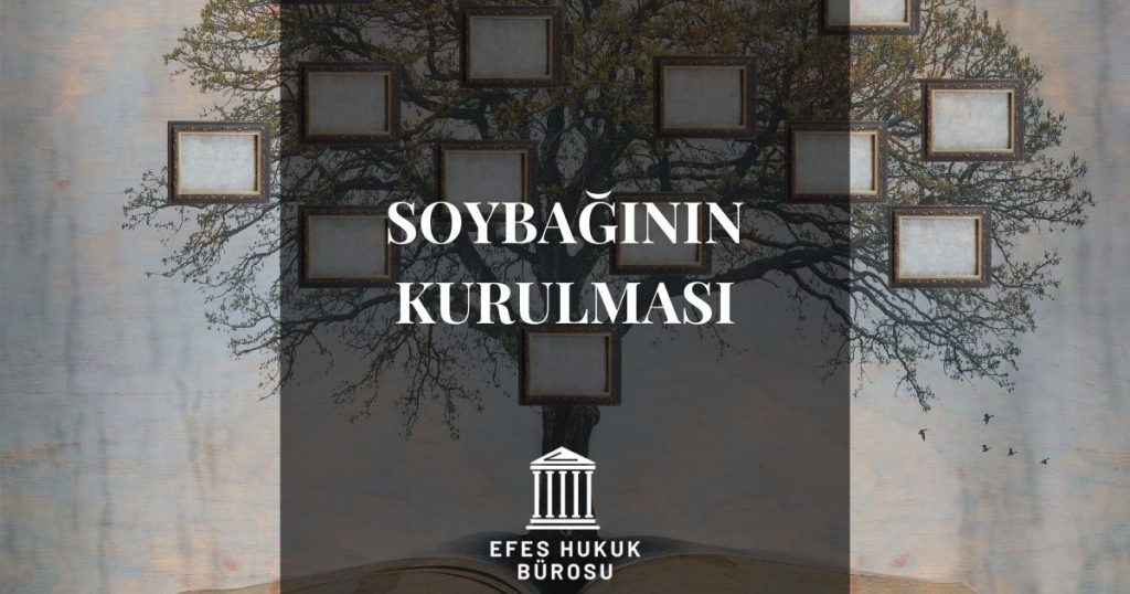 Soybağının Kurulması
