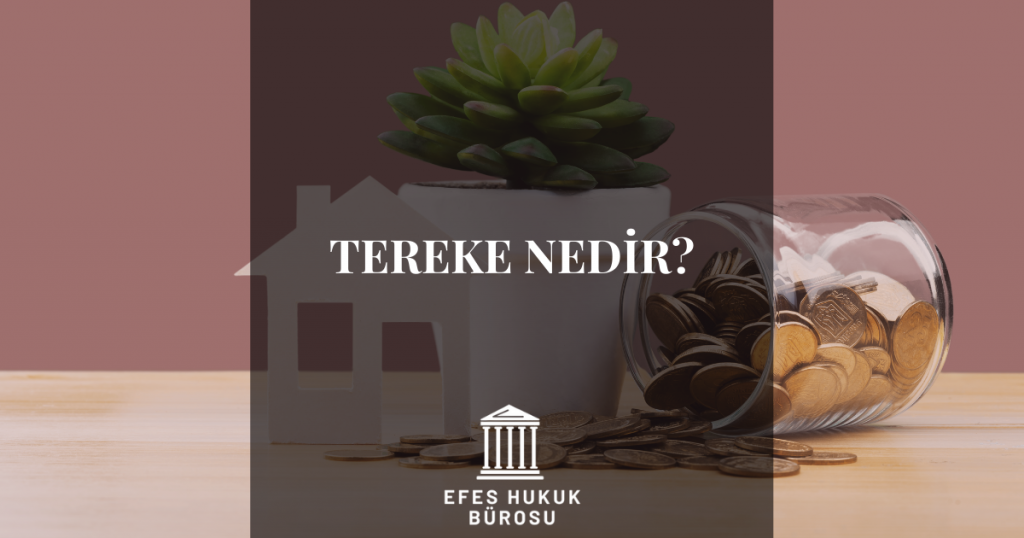 Tereke Nedir?