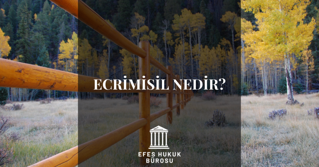 Ecrimisil Nedir